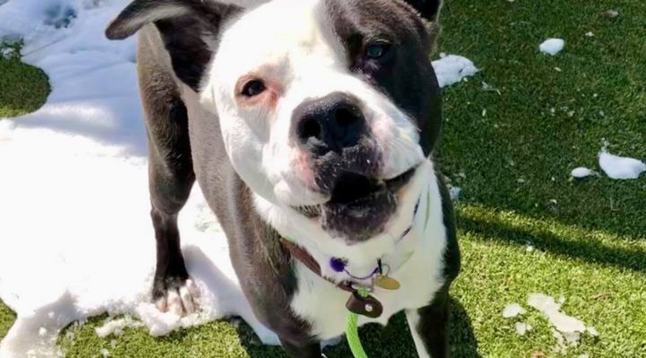 StevenCogswell | FOX 28 Spokane