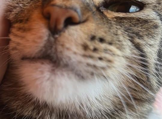 TrishMcMillan | FOX 28 Spokane