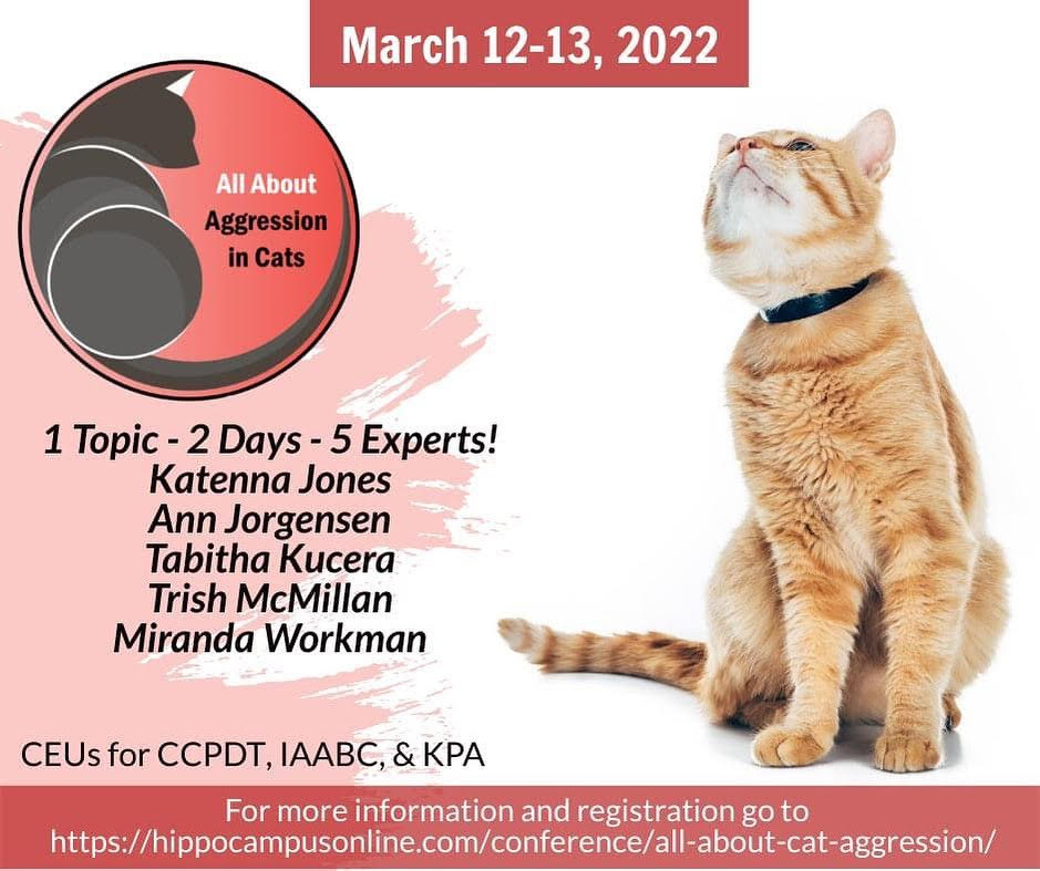 Jorgensen | FOX 28 Spokane