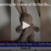 Woman Searching for Owner of Stuffed Bunny FOX 28 Spokane