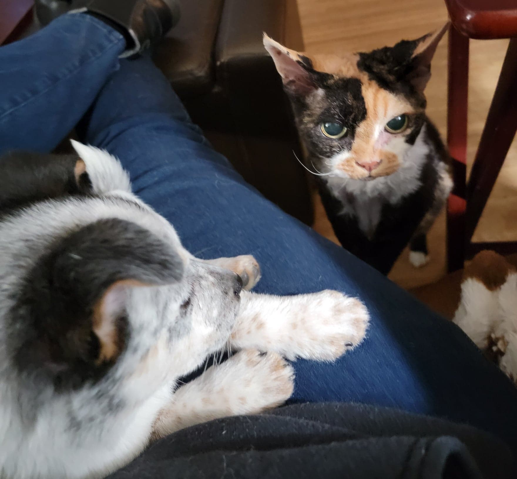 CarolByrnes1 | FOX 28 Spokane