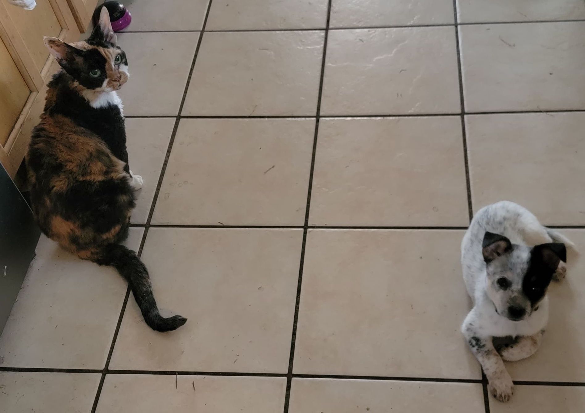 CarolByrnes2 | FOX 28 Spokane