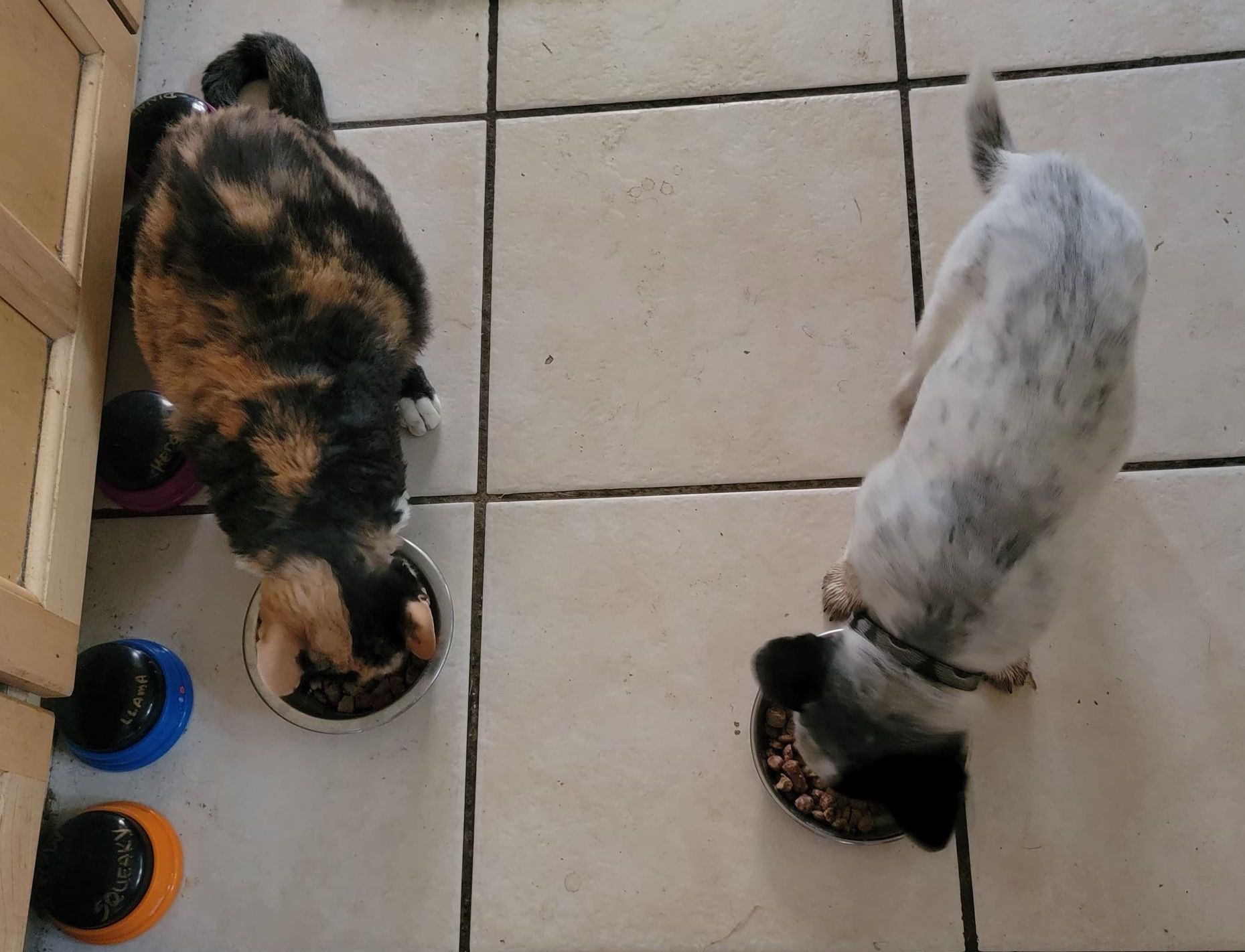 CarolByrnes4 | FOX 28 Spokane