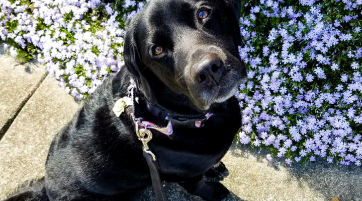 DaleWard | FOX 28 Spokane