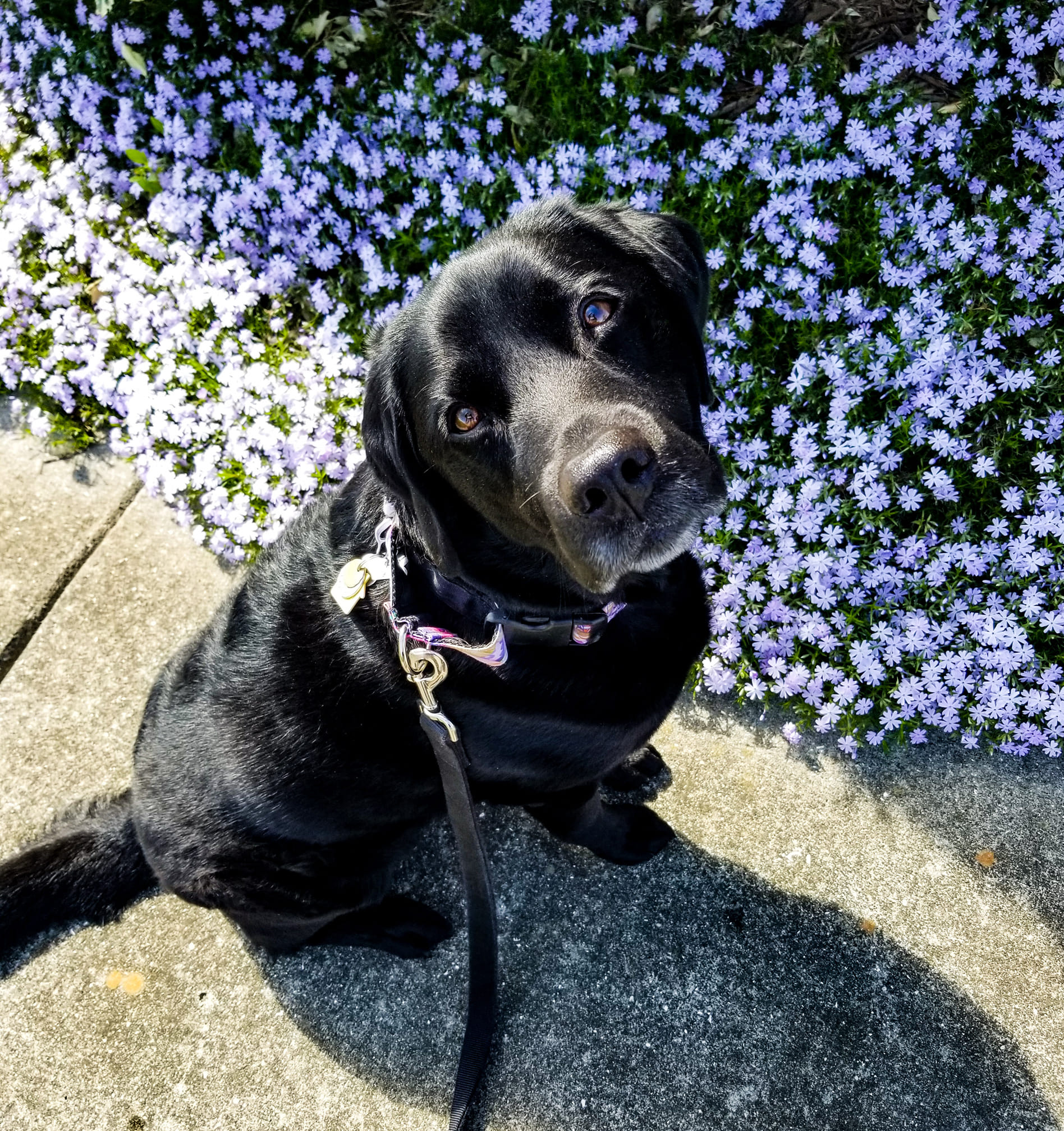 DaleWard | FOX 28 Spokane