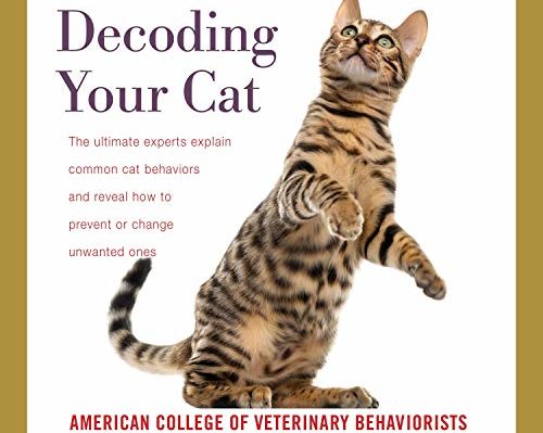 DecodingYourCat | FOX 28 Spokane