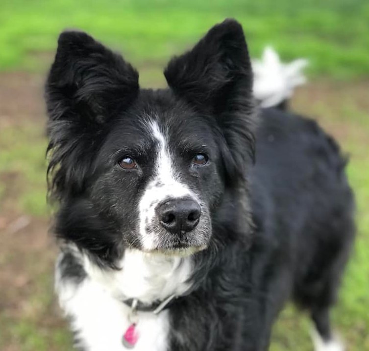 GwenJones | FOX 28 Spokane