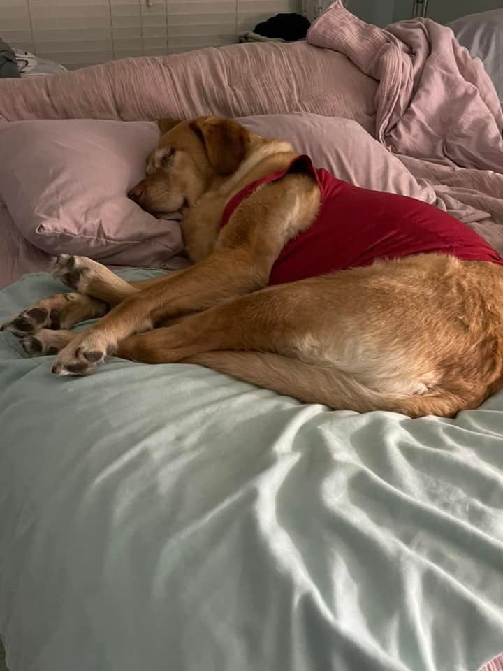 TrishRyan | FOX 28 Spokane