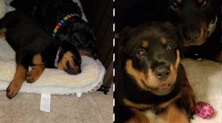 SkiTamborski | FOX 28 Spokane