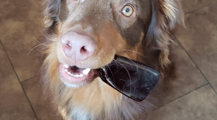 ErinSaywellJot | FOX 28 Spokane