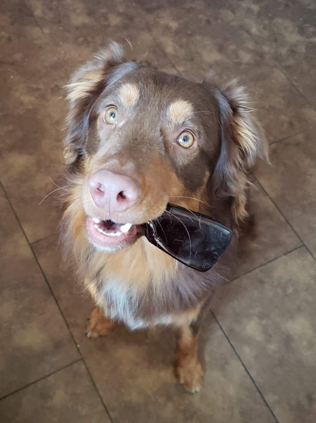 ErinSaywellJot | FOX 28 Spokane