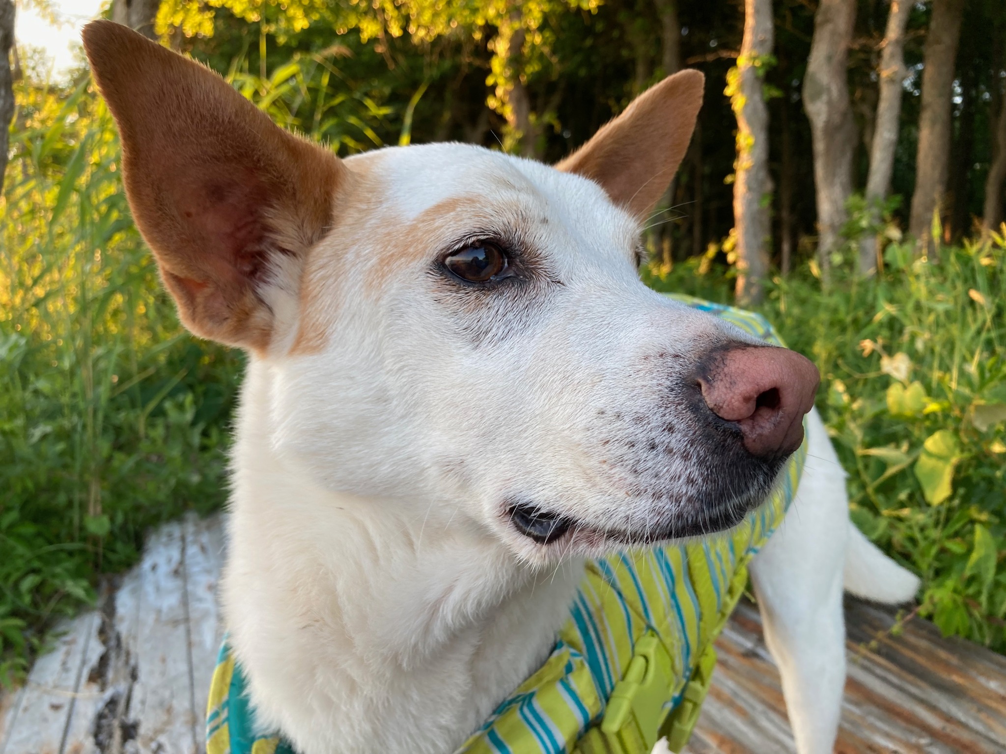 KimberlyHall | FOX 28 Spokane