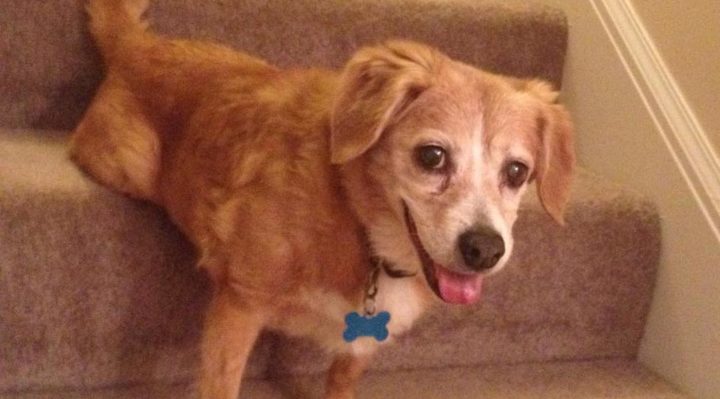 LauraThompson | FOX 28 Spokane