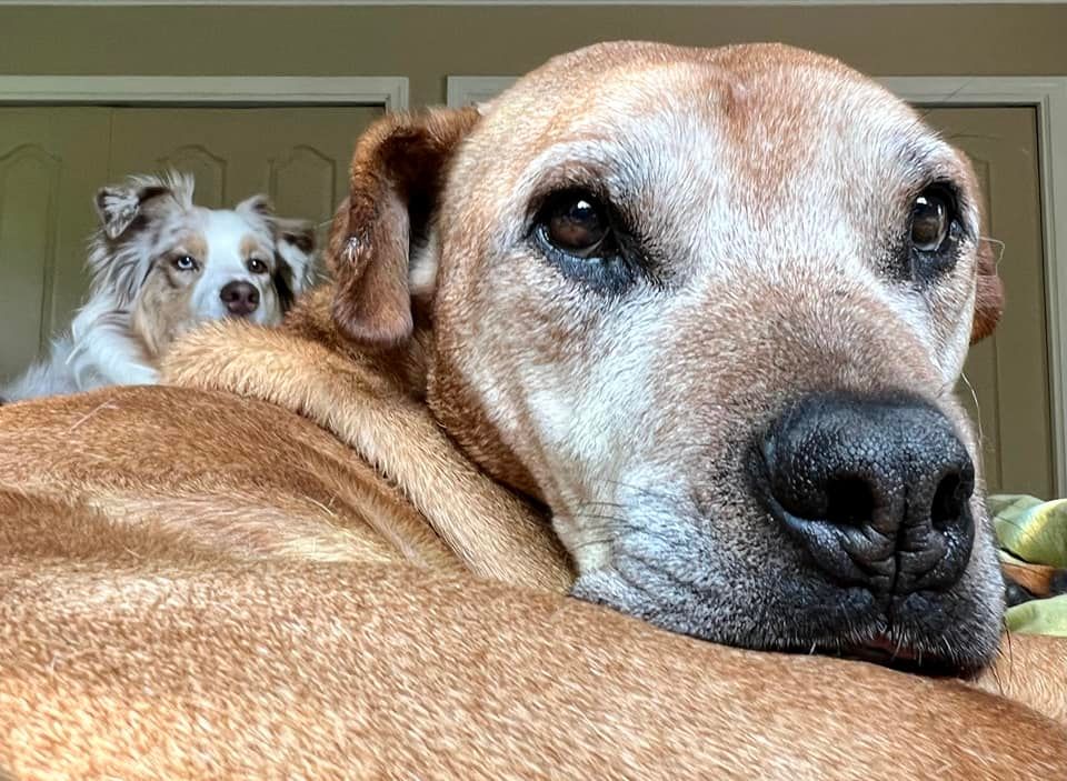 SarahRichardson | FOX 28 Spokane