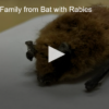 Cat Saves Family from Bat with Rabies