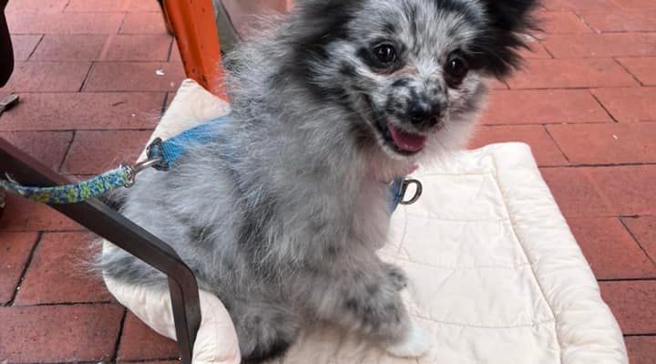 SummerStormKingery | FOX 28 Spokane