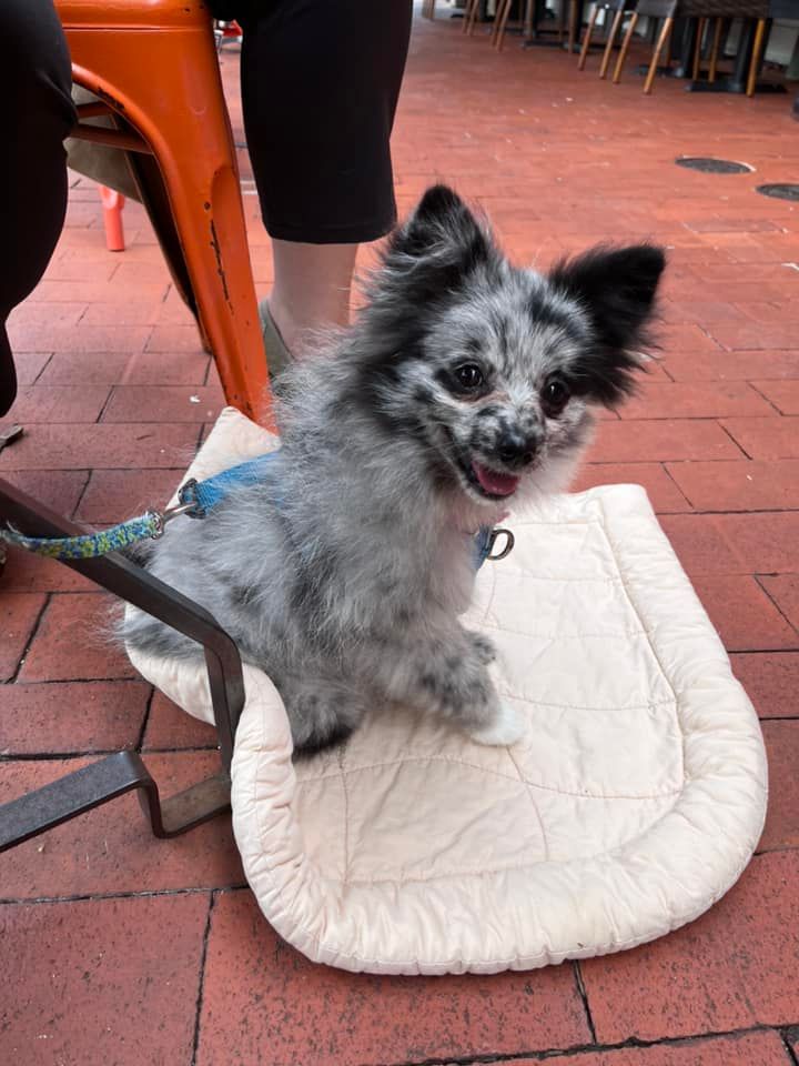 SummerStormKingery | FOX 28 Spokane