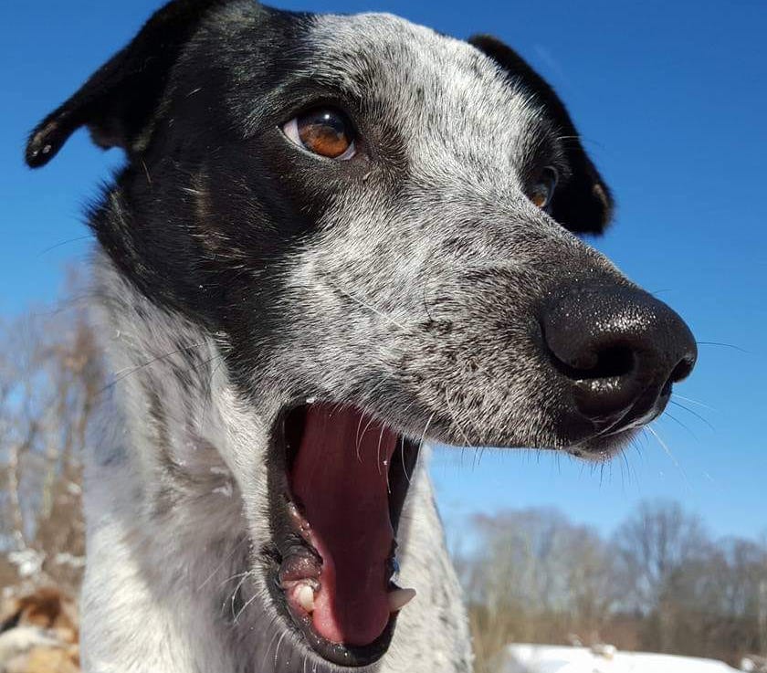 ErinSaywell | FOX 28 Spokane