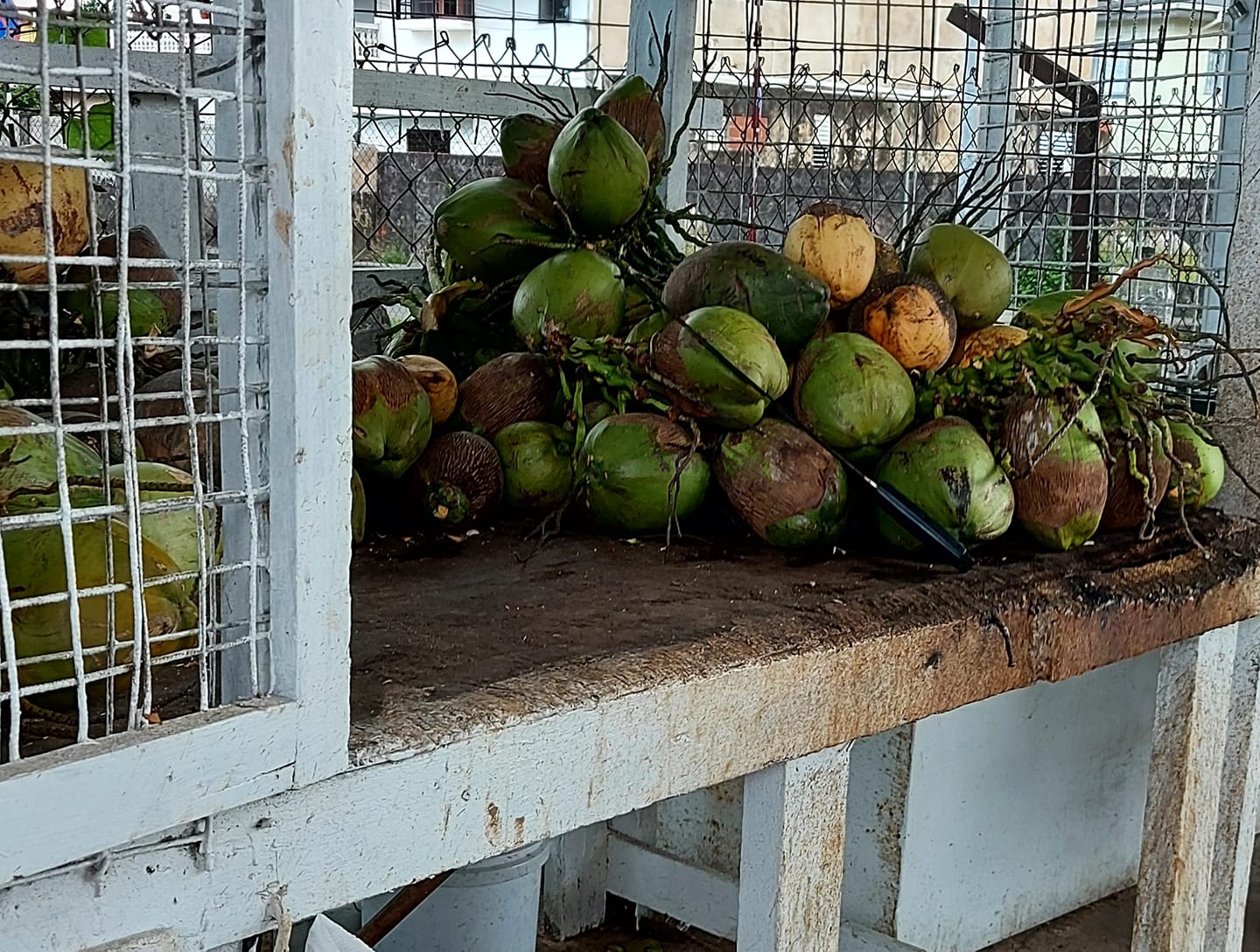 SaraMaynard | FOX 28 Spokane