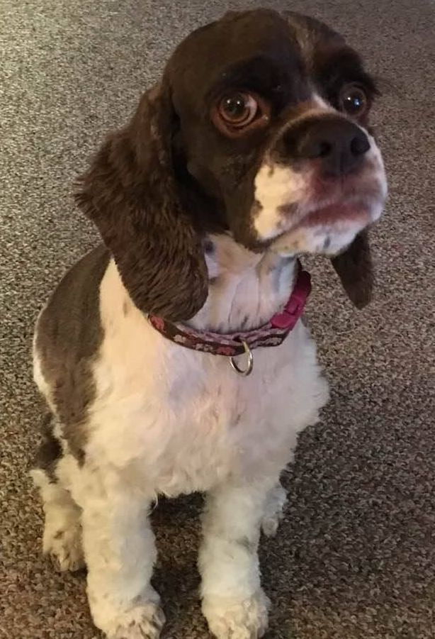 ToniV | FOX 28 Spokane