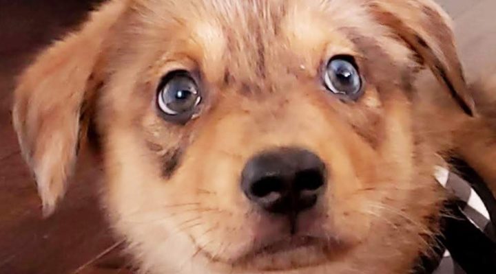 AmySuggars | FOX 28 Spokane