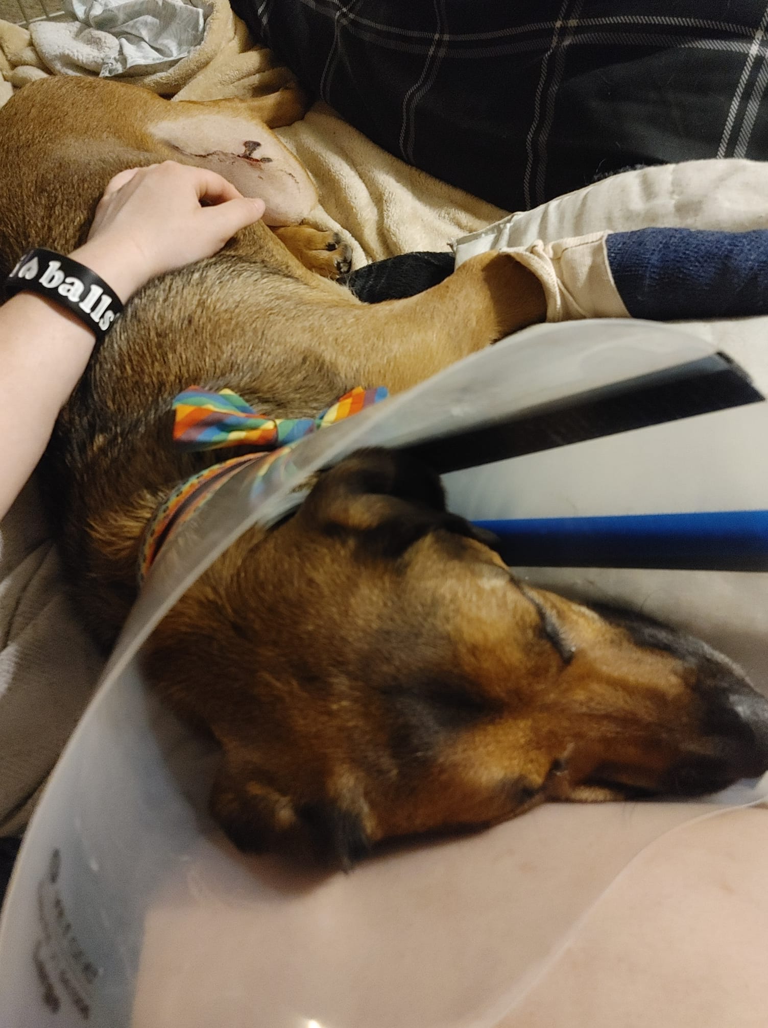 SodonniaWolfrom | FOX 28 Spokane