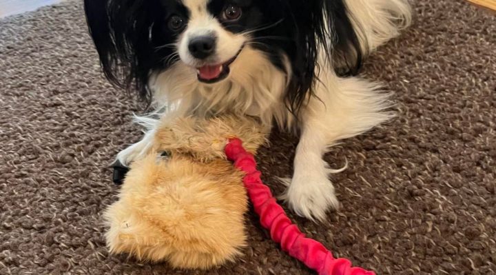 Alisha Ardiana | FOX 28 Spokane