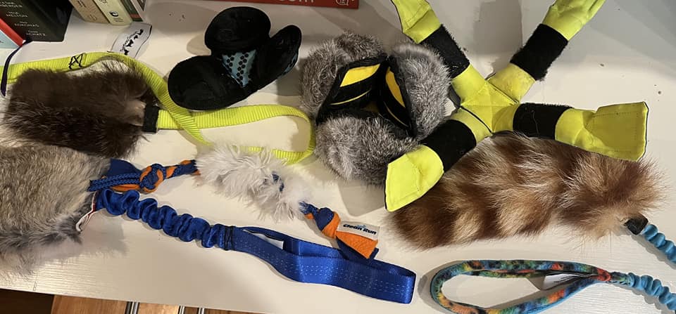 FurryToys | FOX 28 Spokane