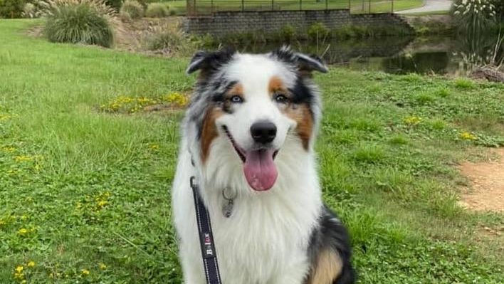 TerriTaylorJoseph | FOX 28 Spokane