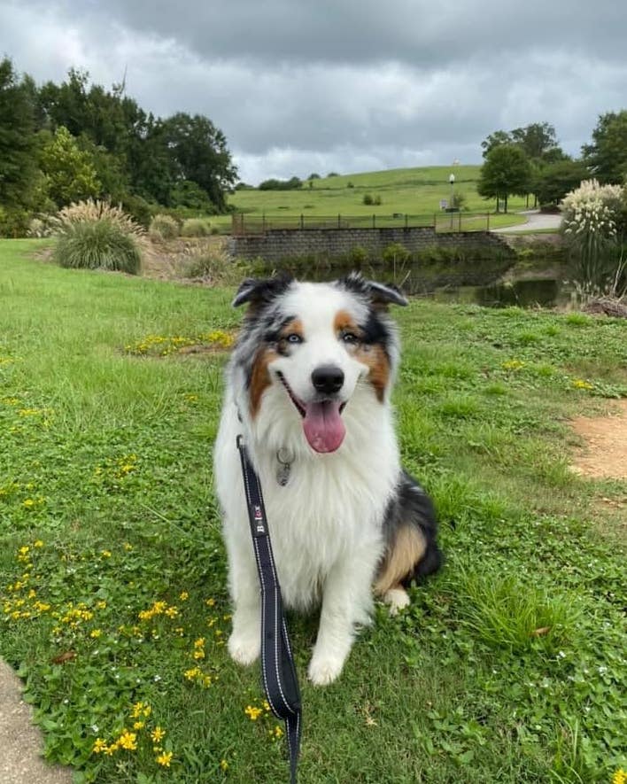 TerriTaylorJoseph | FOX 28 Spokane