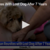 Man Reunites with Lost Dog After 7 Years