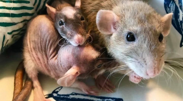 MarkCuilla | FOX 28 Spokane