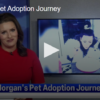 Morgan’s Pet Adoption Journey