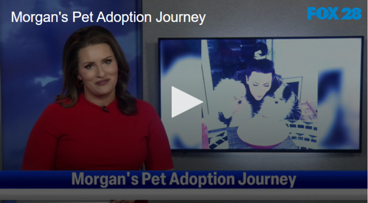 Morgans Pet Adoption Journey | FOX 28 Spokane