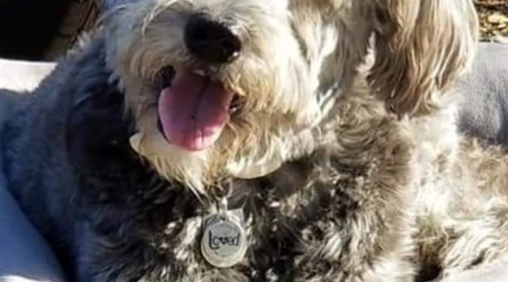 ShellyKeel | FOX 28 Spokane