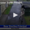 Bear in Dumpster Startles Principal