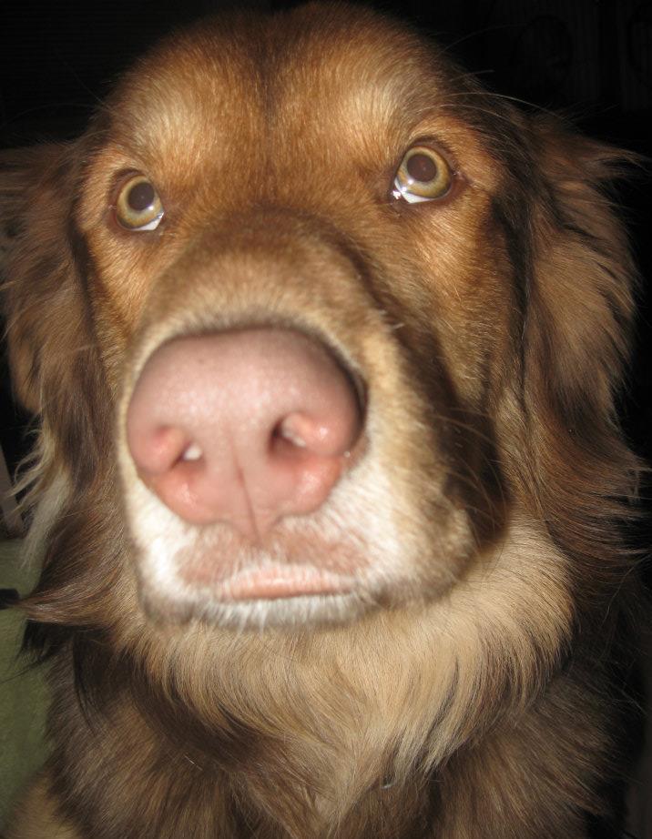 ValHughesSmudgeHeadshot | FOX 28 Spokane