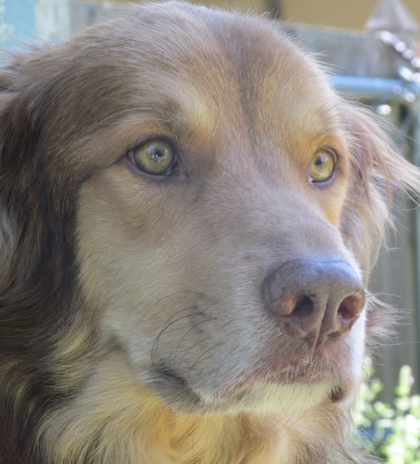 ValHughesSmudgeCloseUp | FOX 28 Spokane