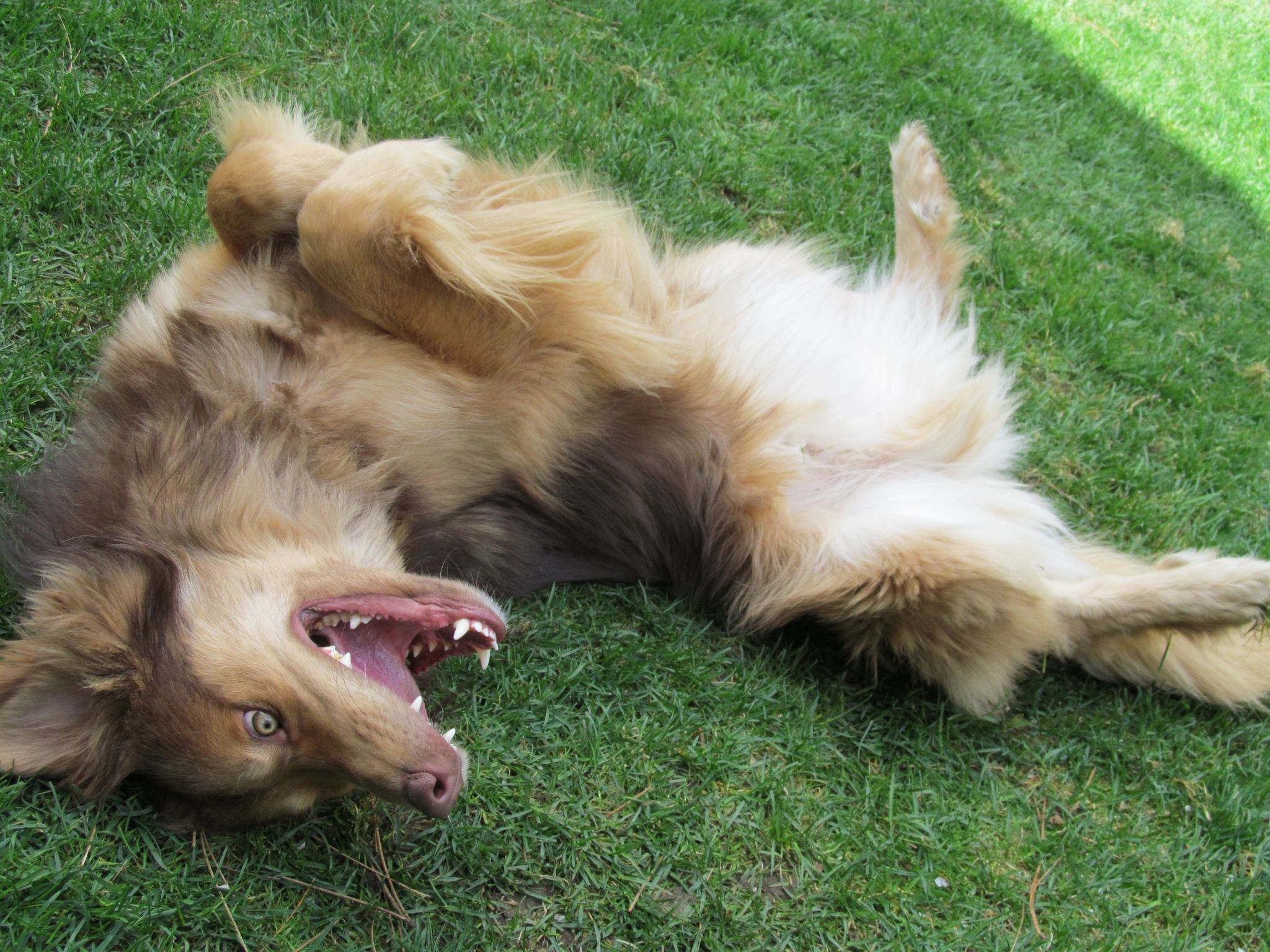 ValHughesSmudgeRolling | FOX 28 Spokane