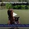 Woman Finds Missing Dog in Airport After 3 Weeks