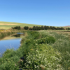 Hangman Creek sees largest restoration effort in Spokane County’s history
