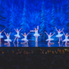 Local dancers take the stage for ‘The Nutcracker’ at The Fox this holiday season!