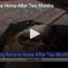 Dog Returns Home After Two Months