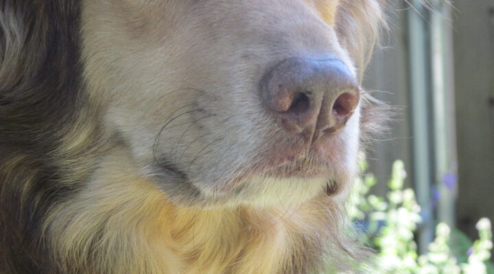 IMG_0207 | FOX 28 Spokane