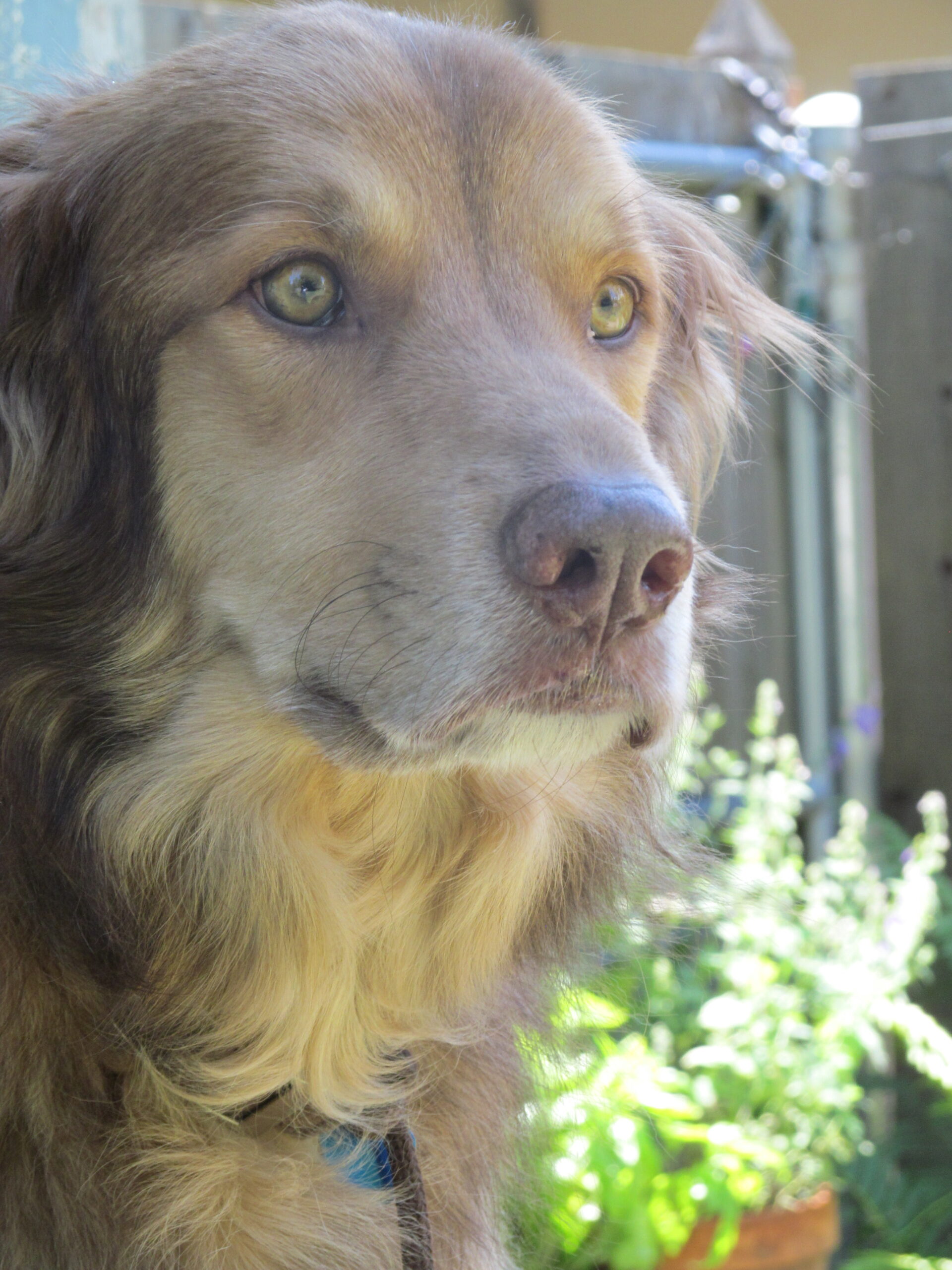 IMG_0207 | FOX 28 Spokane