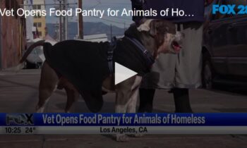 Vet Opens Food Pantry for Animals of Homeless
