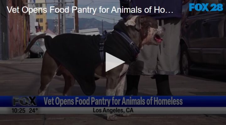 Vet Opens Food Pantry for Animals of Homeless | FOX 28 Spokane
