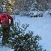 City of Spokane offers free curbside Christmas tree pick-up!