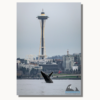 Photographs capture humpback whale’s Seattle visit, breaching in waters in front of Space Needle