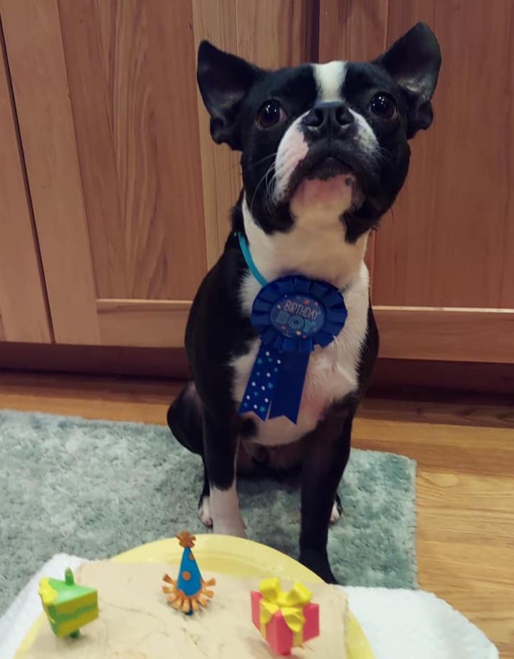 LonnieOlson | FOX 28 Spokane